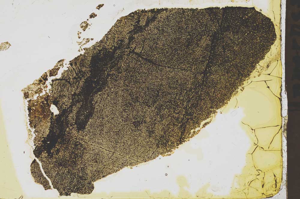 Plane Polarized, S39226