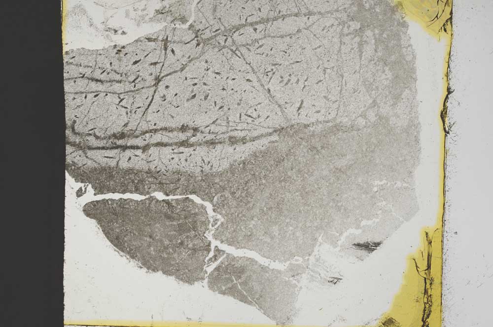 Plane Polarized, S39227