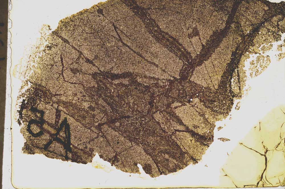 Plane Polarized, S39228