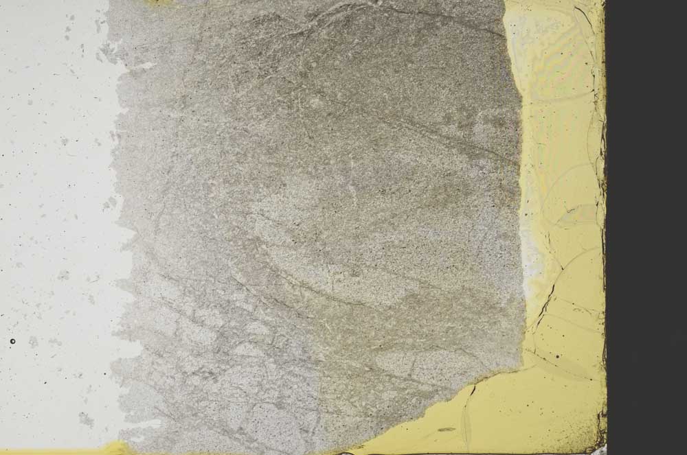 Plane Polarized, S39228/A