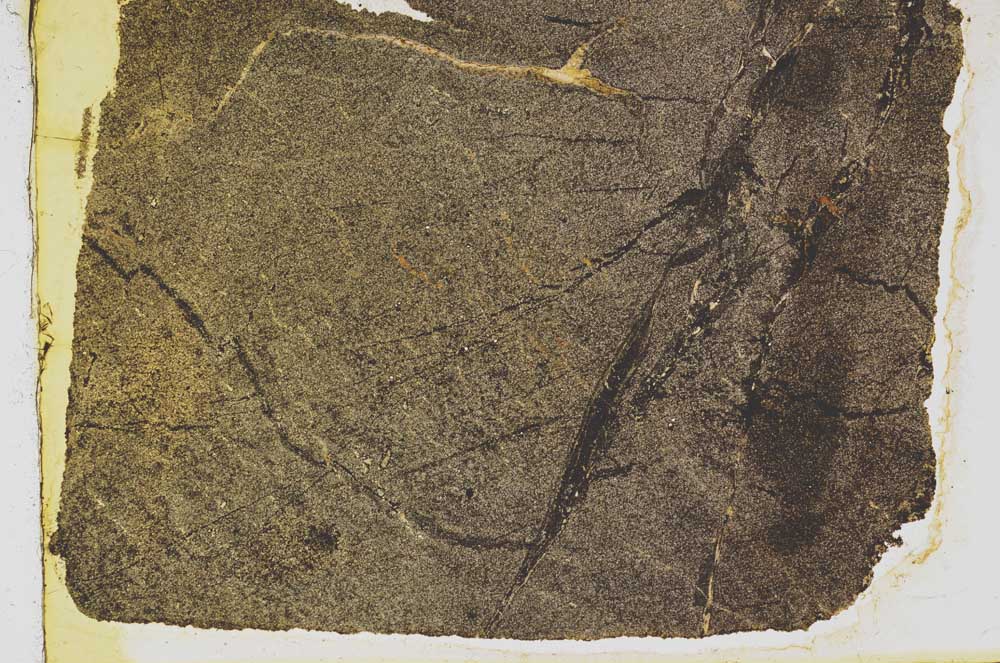 Plane Polarized, S39229