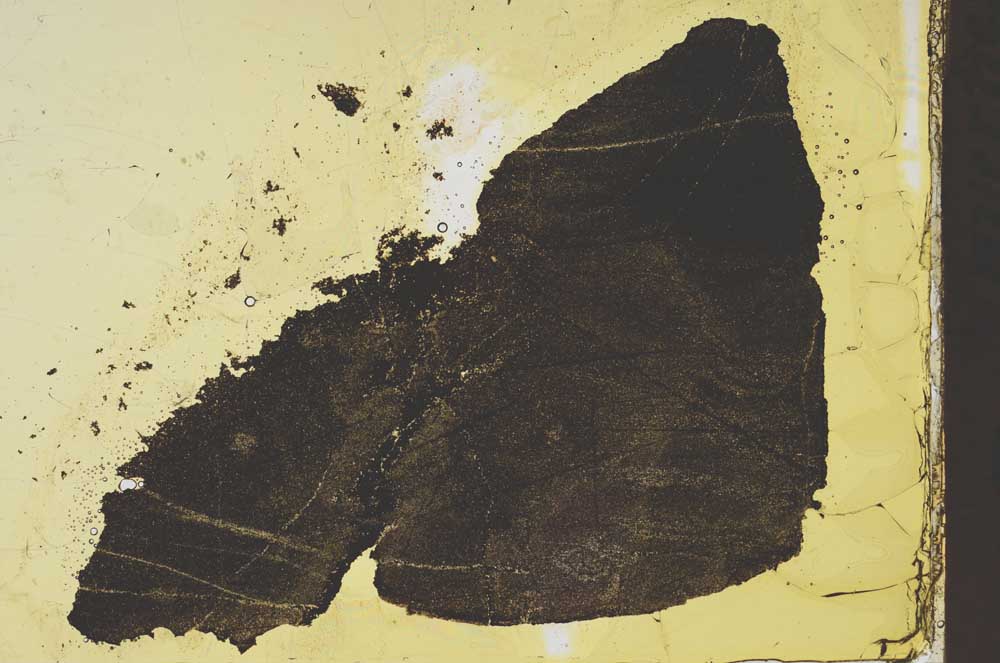 Plane Polarized, S39232