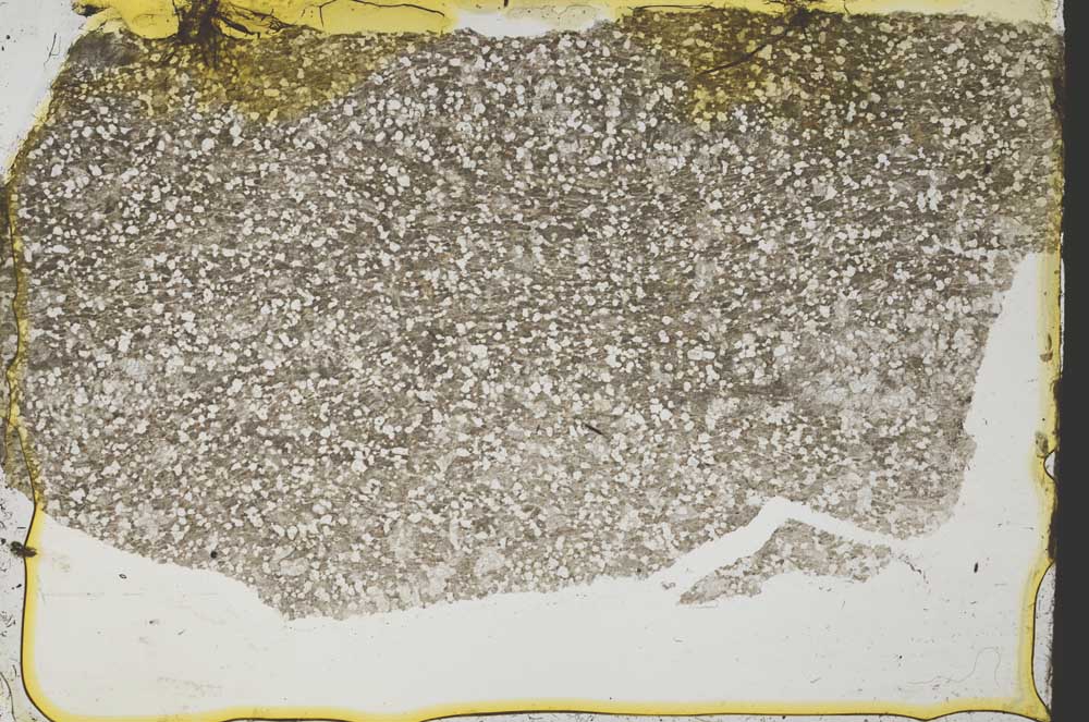 Plane Polarized, S39324