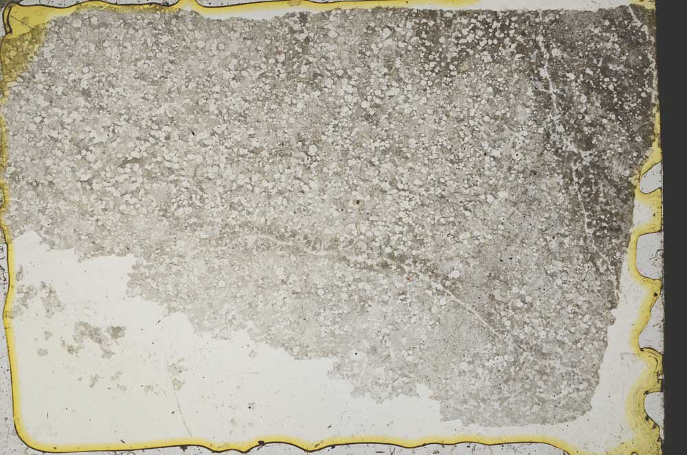 Plane Polarized, S39325