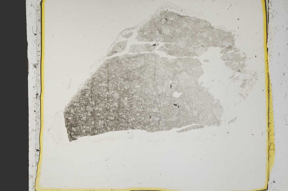 Plane Polarized, S39330