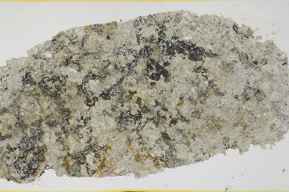Plane Polarized, S39349
