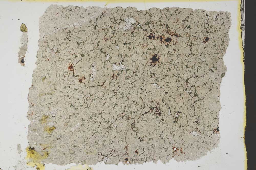 Plane Polarized, S39392