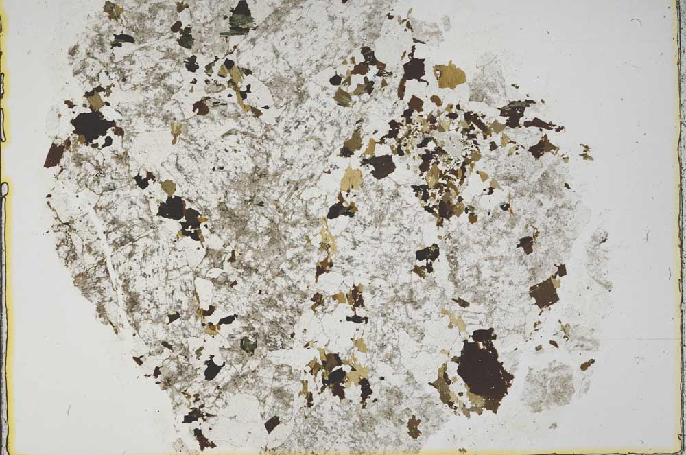Plane Polarized, S39438