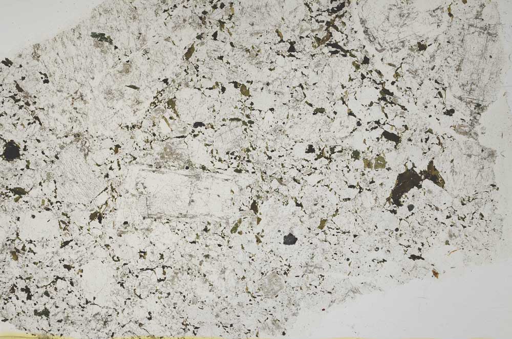 Plane Polarized, S39450