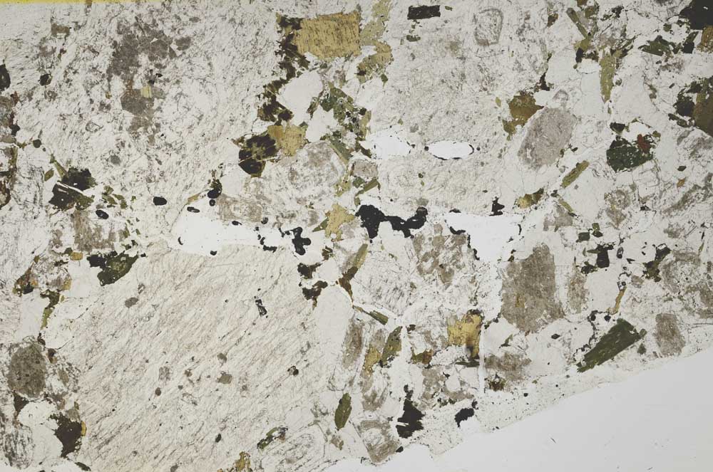 Plane Polarized, S39456