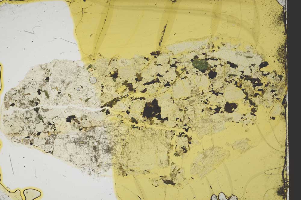 Plane Polarized, S39461