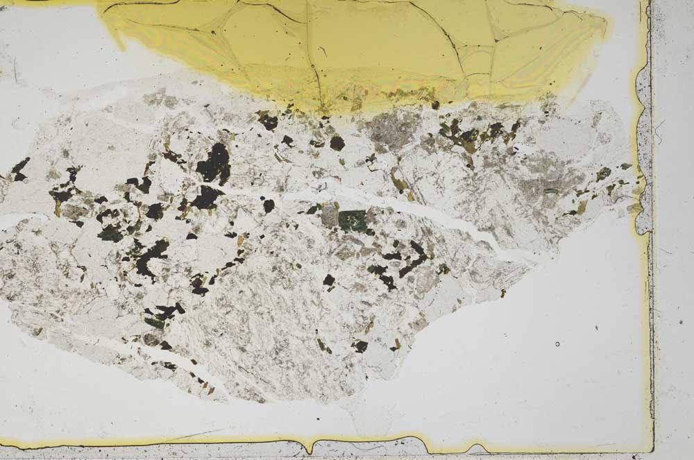Plane Polarized, S39462