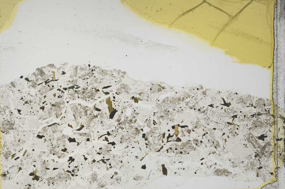 Plane Polarized, S39463