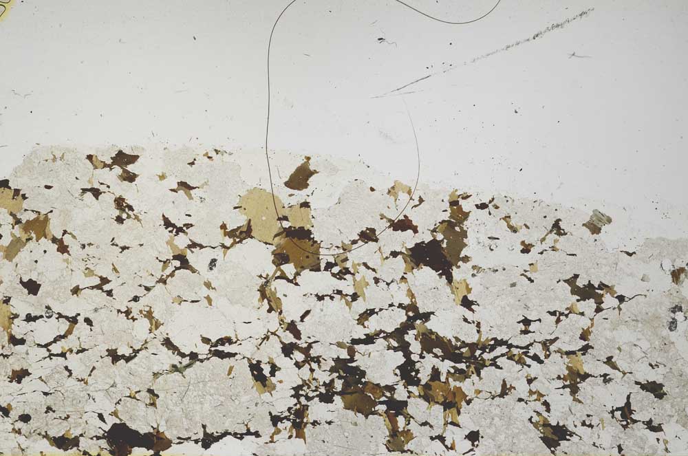 Plane Polarized, S39480