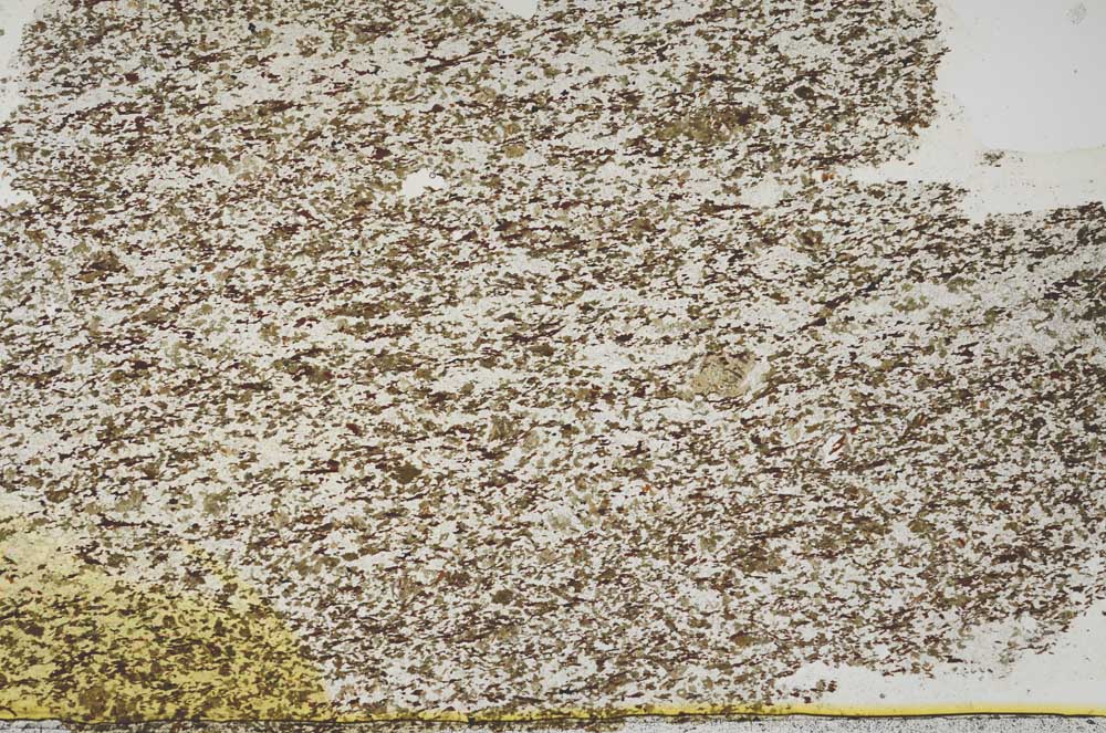 Plane Polarized, S39490