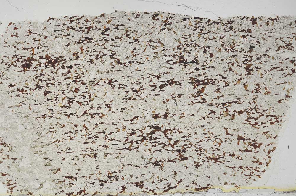 Plane Polarized, S39494