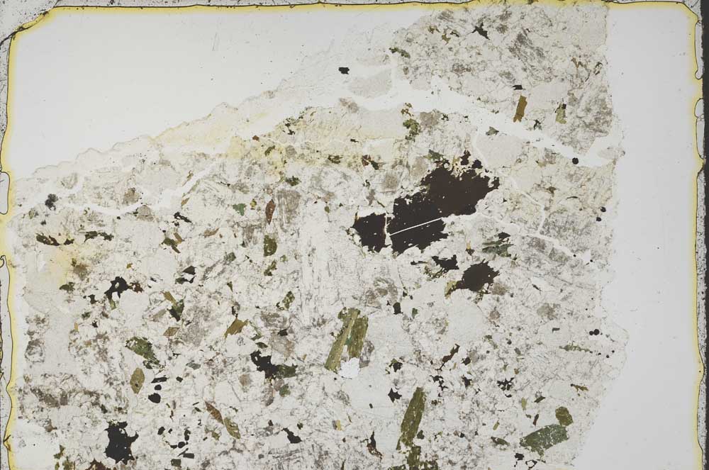Plane Polarized, S39504