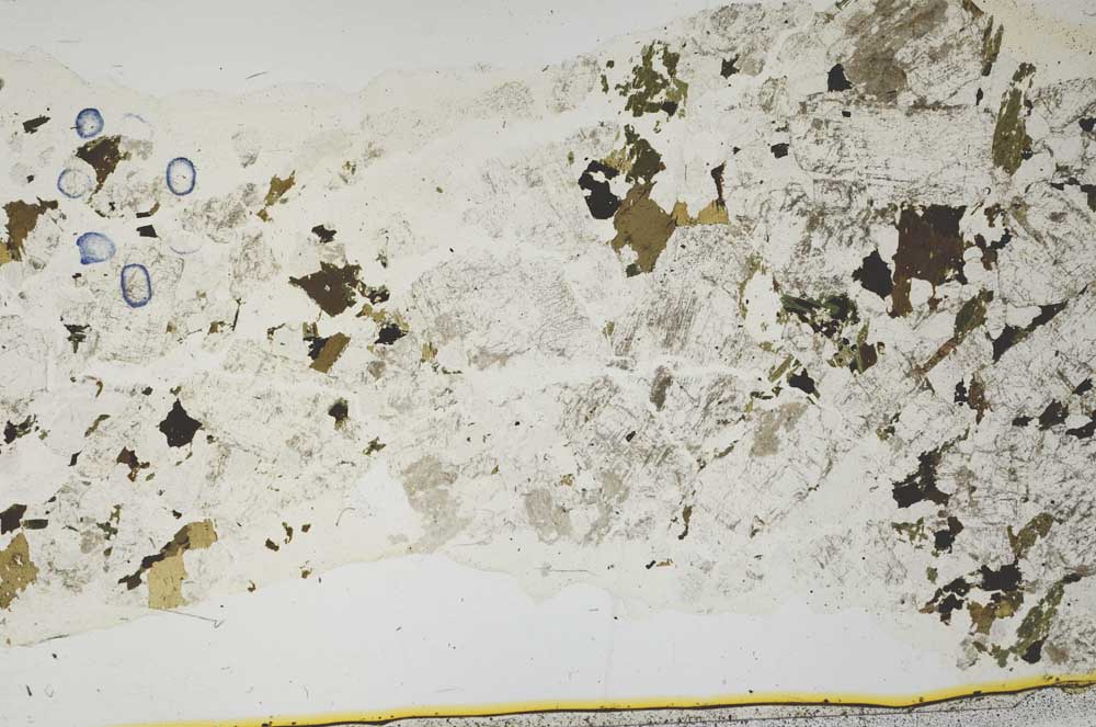 Plane Polarized, S39523