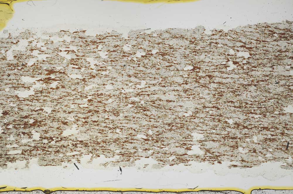 Plane Polarized, S39554