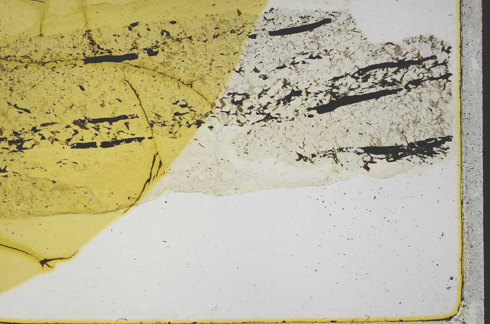Plane Polarized, S39574
