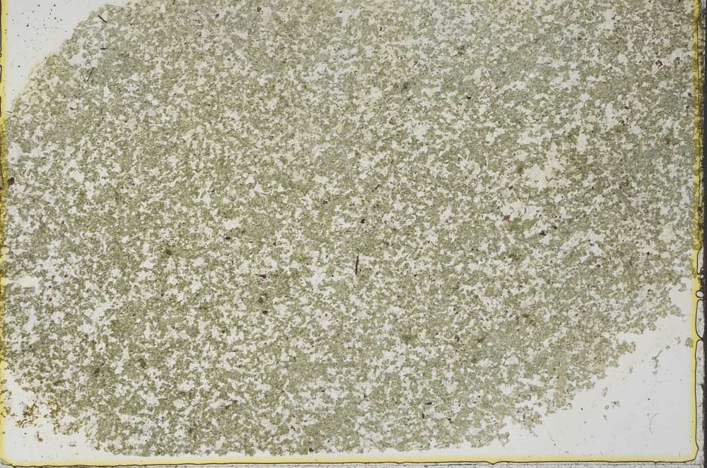 Plane Polarized, S39588