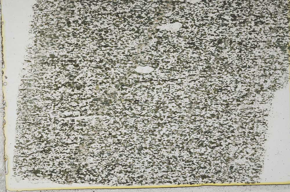 Plane Polarized, S39589