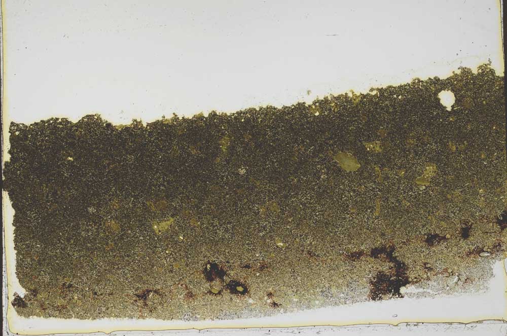 Plane Polarized, S39604