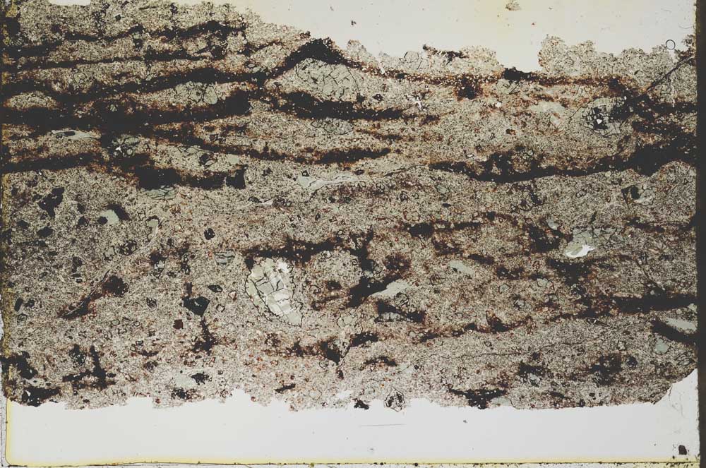 Plane Polarized, S39623