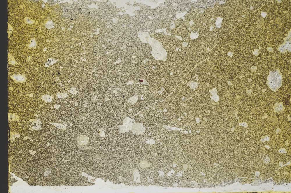 Plane Polarized, S39624