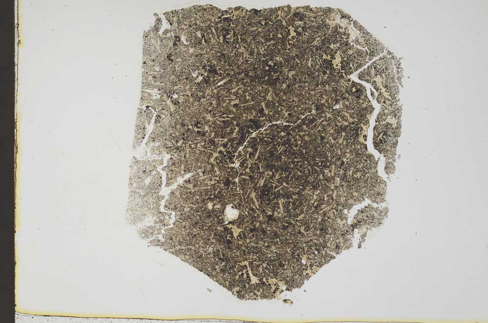 Plane Polarized, S39633