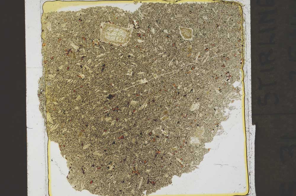 Plane Polarized, S39639