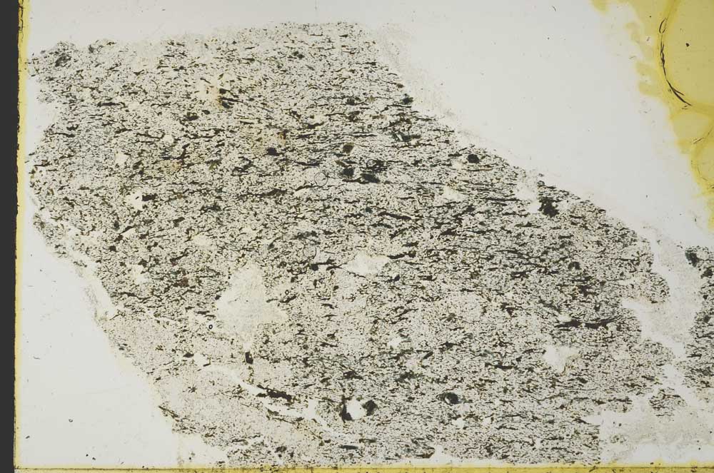 Plane Polarized, S39665