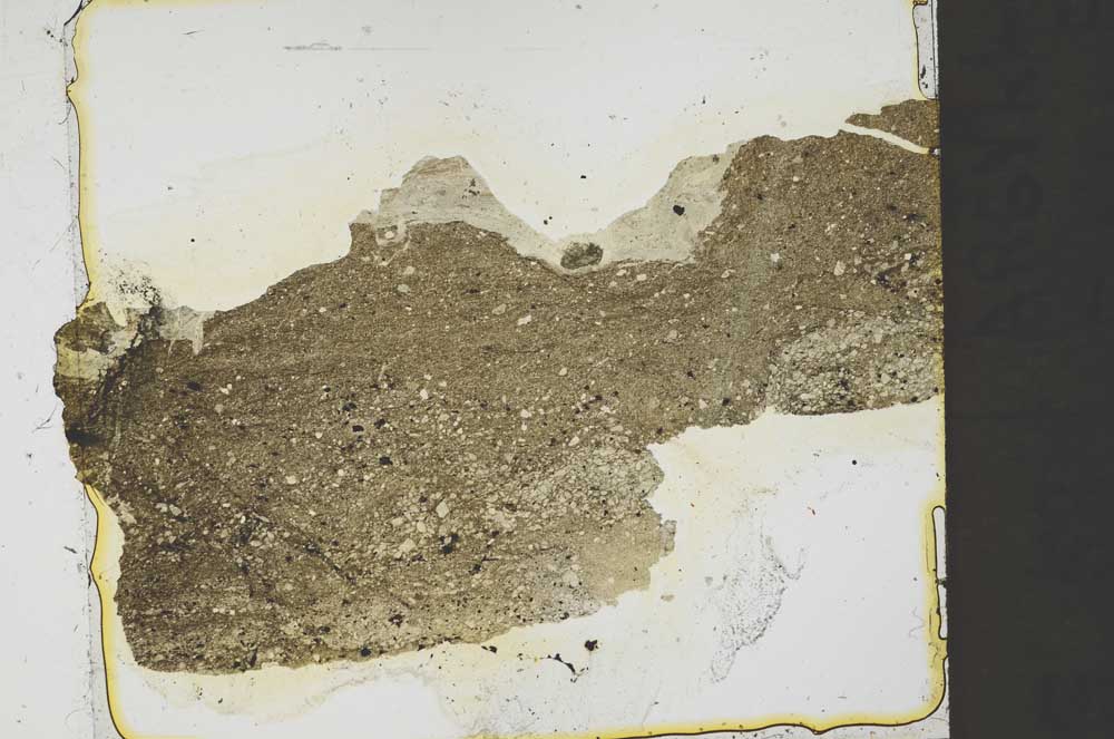 Plane Polarized, S39699