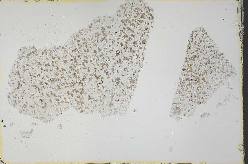 Plane Polarized, S39729