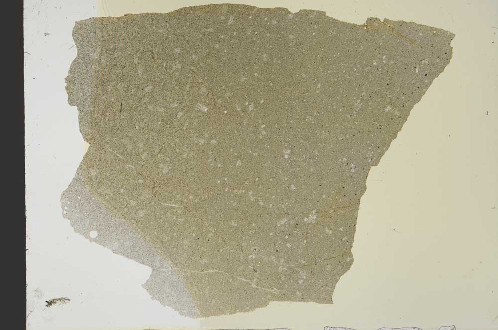 Plane Polarized, S39737