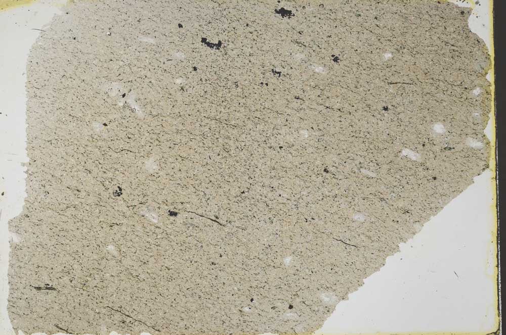 Plane Polarized, S39743