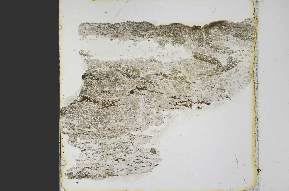 Plane Polarized, S39744