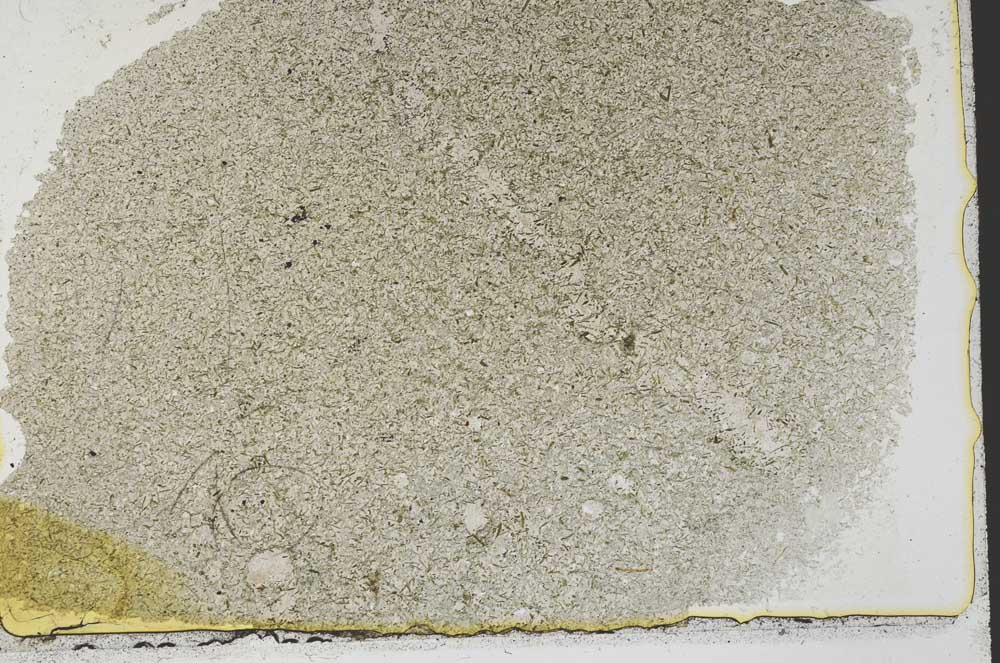 Plane Polarized, S39745