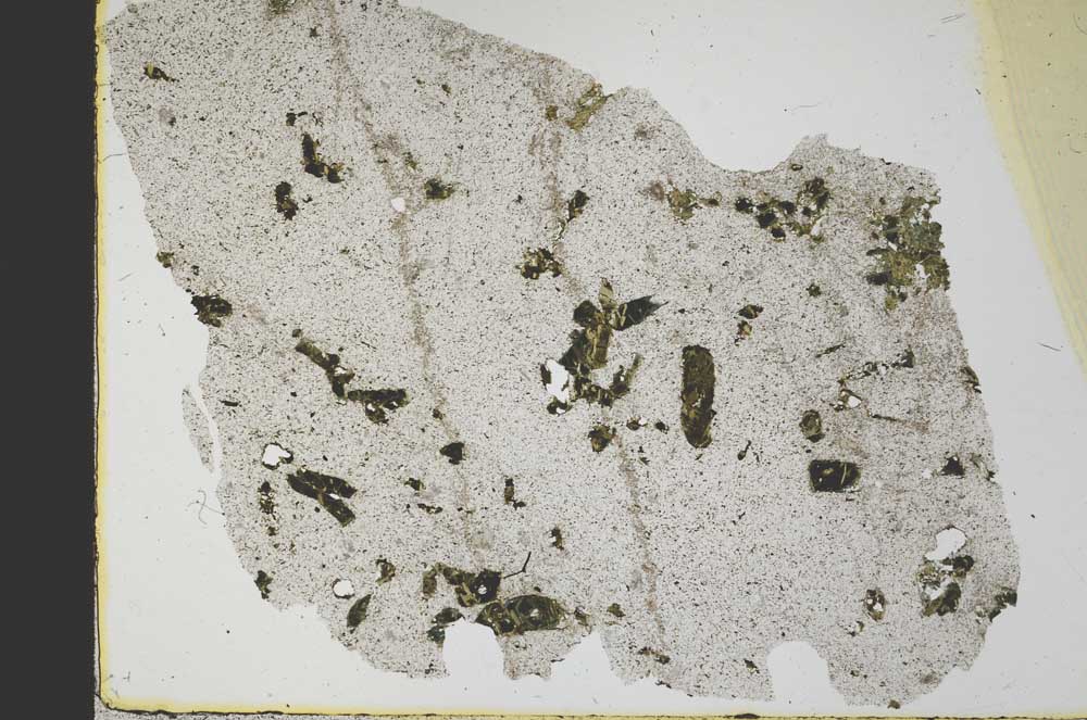 Plane Polarized, S39769