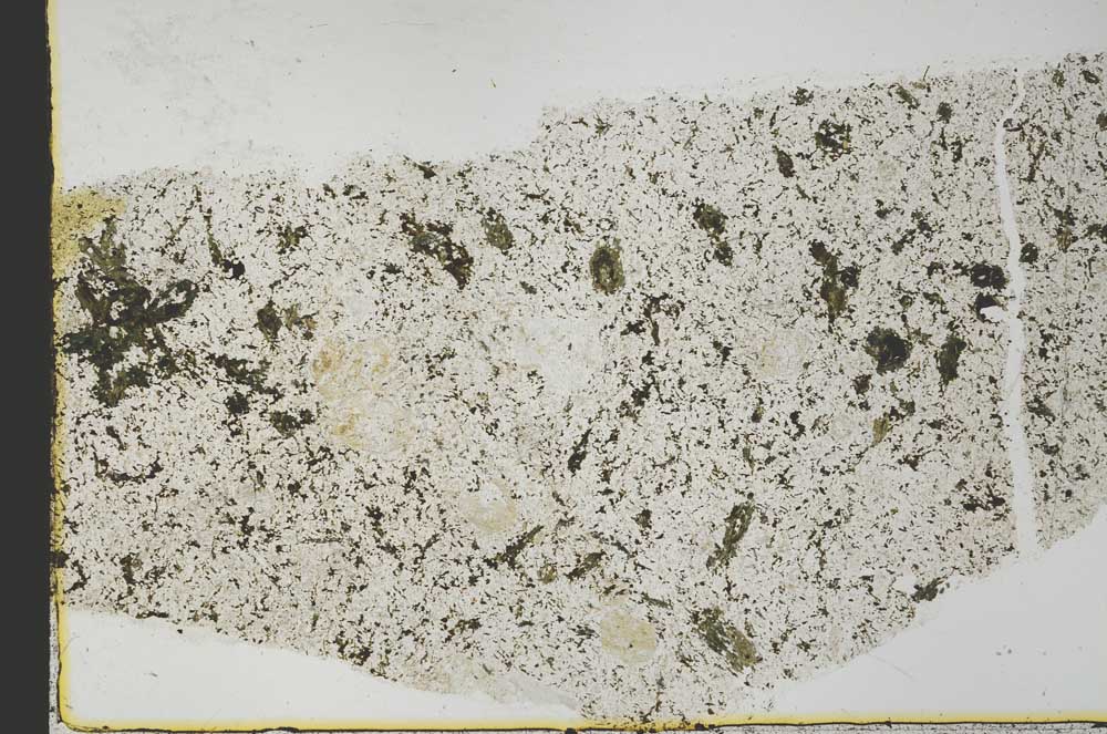 Plane Polarized, S39770