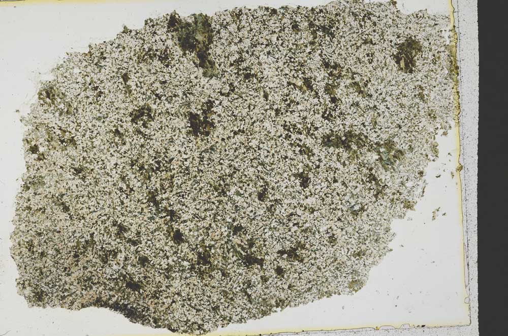 Plane Polarized, S39787