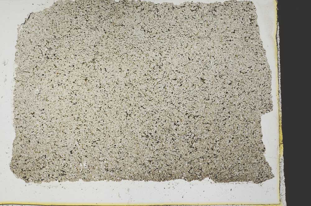 Plane Polarized, S39788