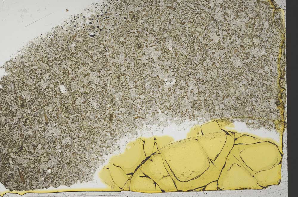 Plane Polarized, S39814