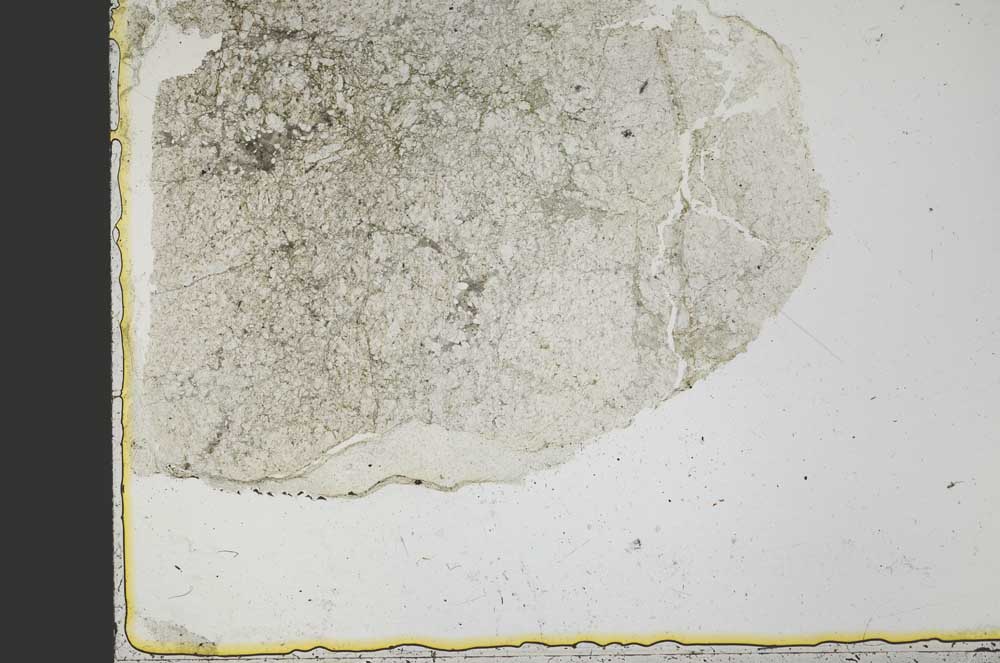 Plane Polarized, S39815