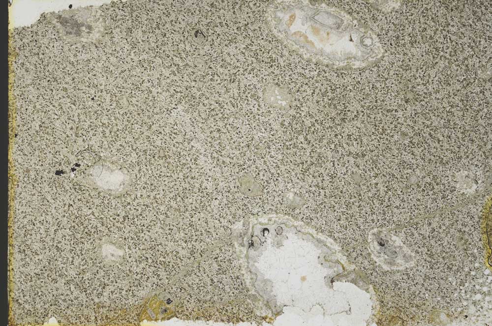 Plane Polarized, S39817