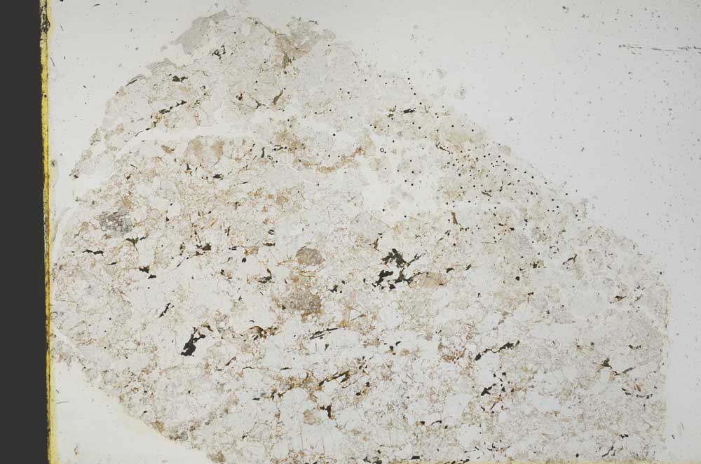 Plane Polarized, S39819