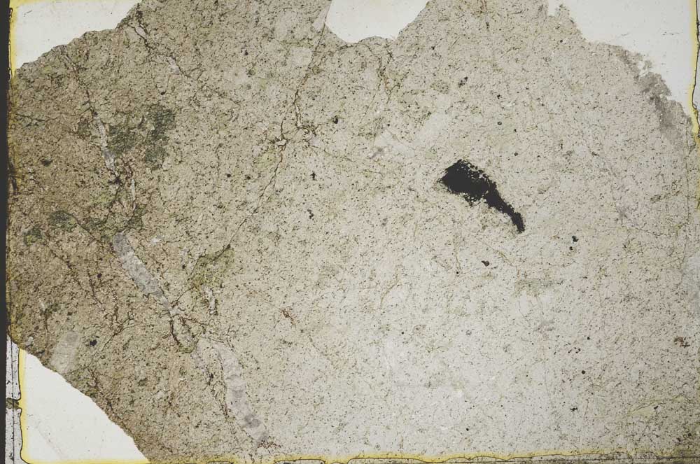 Plane Polarized, S39823