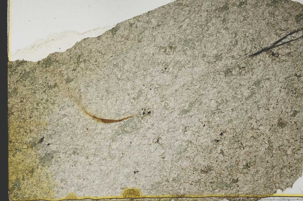 Plane Polarized, S39825