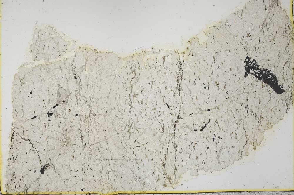 Plane Polarized, S39829