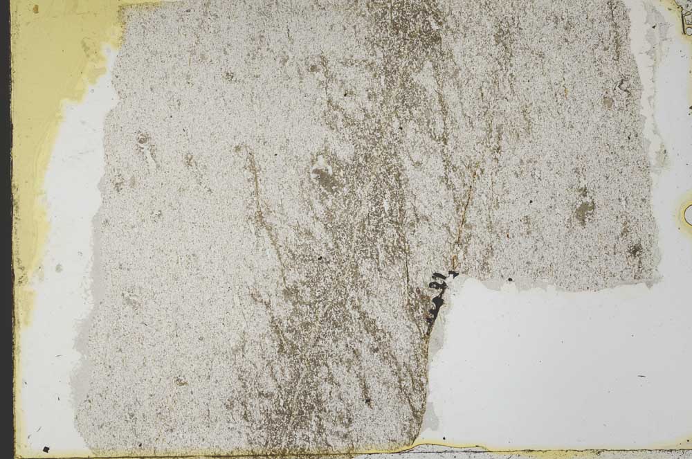 Plane Polarized, S39833